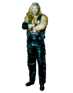 Kevin nash nWo