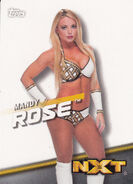 2016 WWE Divas Revolution Wrestling (Topps) Mandy Rose 43