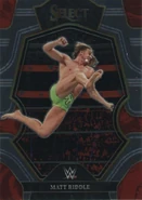 2023 WWE (Panini Select) Matt Riddle (No.179)