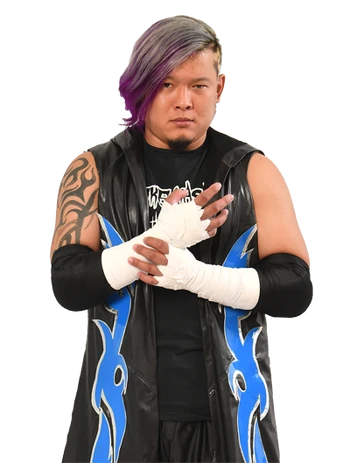 Daisuke Masaoka Pro Wrestling Fandom