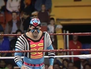 October 10, 1992 WWF Superstars of Wrestling 4.jpg (71 KB)