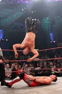 TNA Victory Road 2011.58.jpg (42 KB)