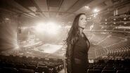 WrestleMania 29 Diary.30