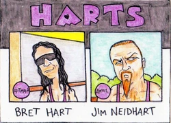 アメコミ HART FOUNDATION アメコミ HART FOUNDATION WWE Hart