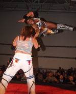 SHIMMER 53.4