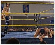 12-20-14 NXT 5.jpg (283 KB)