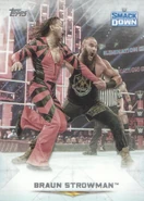 2020 Topps WWE Undisputed Wrestling Cards Braun Strowman (No.29)