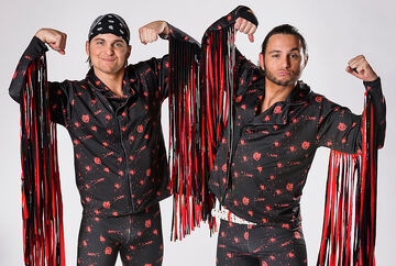 The Young Bucks | Pro Wrestling | Fandom