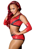 Kiera Hogan 17th Champion (February 11, 2017 - Present)