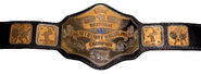 NWA National Heavyweight Championship (1984-2013)