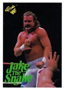 1990 Classic WWF Jake Roberts (No.63)