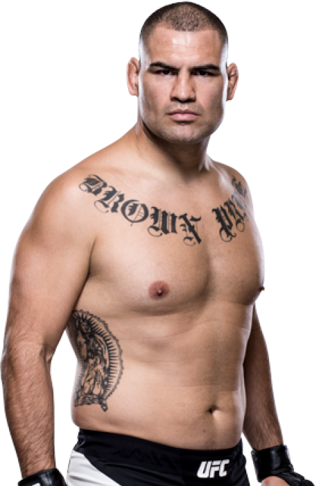 cain velasquez knockouts