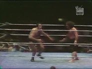 March 24, 1980 MSG.00047.jpg (22 KB)