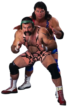 The Steiners Brothers