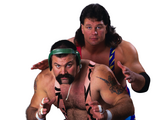 Steiner Brothers