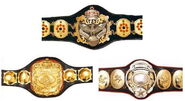 AJPW Triple Crown Championship