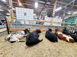 Appalachian Fairgrounds