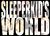 Sleeper Kid's World