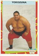 1995 WWF Wrestling Trading Cards (Merlin) Yokozuna 20