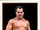 2013 WWE (Topps) Dean Malenko (No.90)