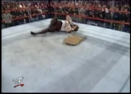 Beyond the Mat.00015.jpg (15 KB)