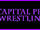 Capital Pro Wrestling