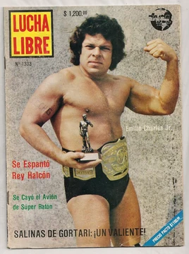 Lucha Libre 1303