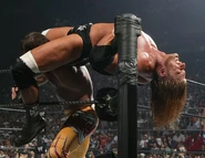 Royal Rumble 2006.52.jpg (38 KB)