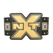 WWE NXT Championship - Replica Title Belt