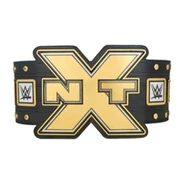NXT Championship Replica Title Belt (2014)