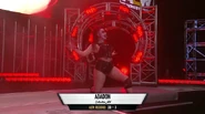 AEW Dark 143 12.jpg (51 KB)