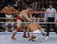 Saturday Night's Main Event XIV 4.jpg (91 KB)