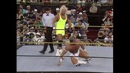 WrestleMania IX.00033