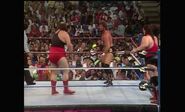 WrestleMania VIII.00038