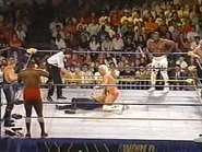 WrestleWar 1991.00003.jpg (26 KB)