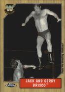 2008 WWE Heritage III Chrome Trading Cards (Topps) Jack And Gerry Brisco (No.88)