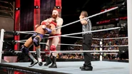6-13-16 Raw 26.jpg (76 KB)