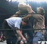 Bret Hart runs in to hit Kevin Nash.