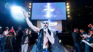 WWE Live Tour 2017 - Valencia 9