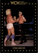 1991 WCW Collectible Trading Cards (Championship Marketing) Sting and Ric (No.52)