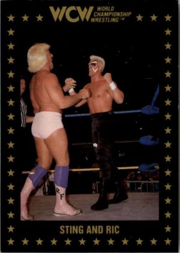 1991 Wcw Collectible Trading Cards Championship Marketing Sting And Ric No52 Pro 5698