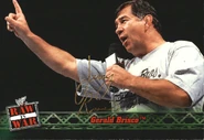 2001 WWF RAW Is War (Fleer) Gerald Brisco (No.11)