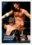 2010 WWE (Topps) CM Punk (No.36)