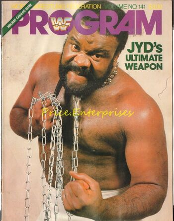 WWF Wrestling Program 141