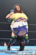 August 9, 2021 Ice Ribbon 20