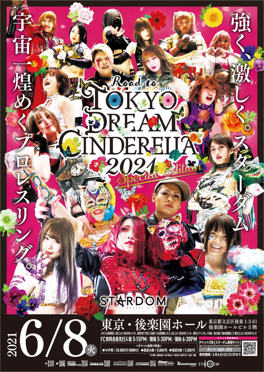 Stardom Road To Tokyo Dream Cinderella Special Edition | Pro