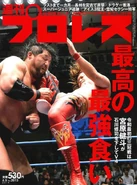 Weekly Pro Wrestling 2013.jpg (153 KB) Weekly Pro Wrestling No. 2013 June 5, 2019