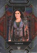 2022 WWE (Panini Select) Tamina (No.369)