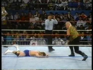 January 16, 1993 WWF Superstars of Wrestling.00006.jpg (88 KB)