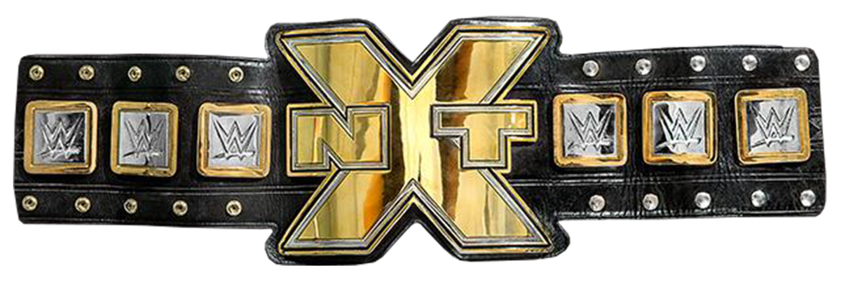 2012 WWE Tag Team Championship Tournament, Pro Wrestling